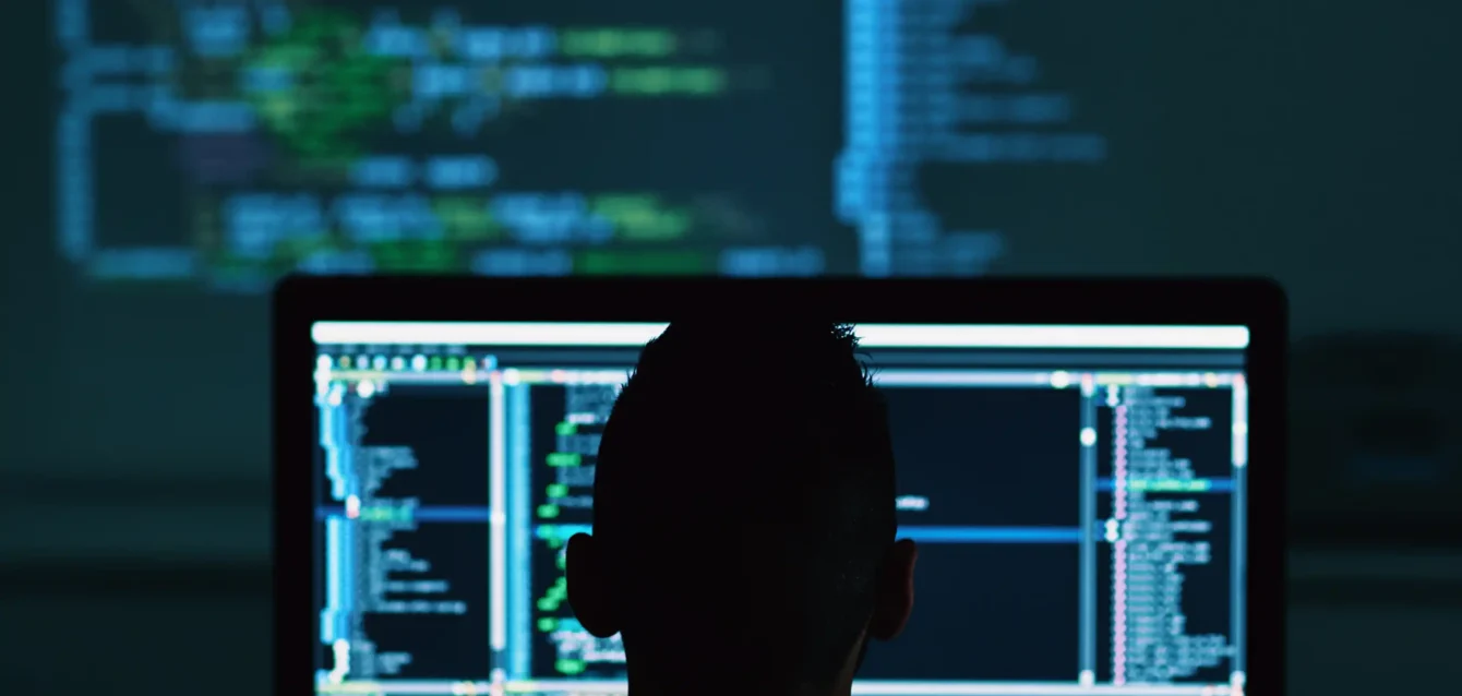 software development